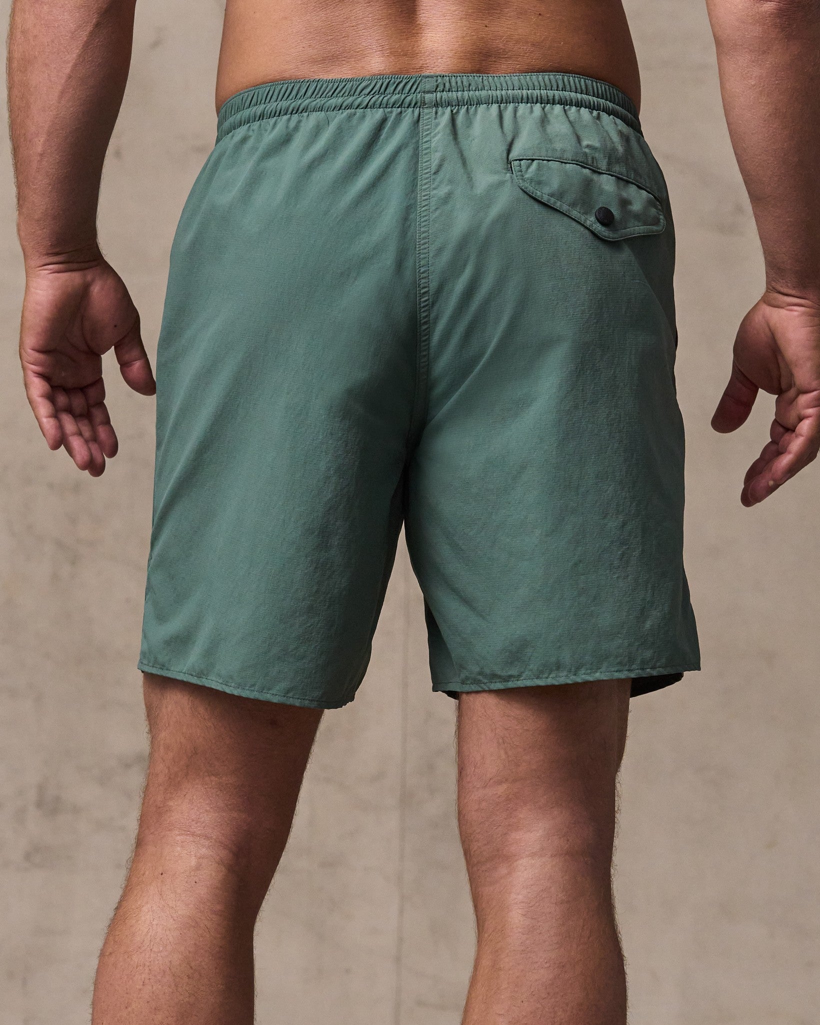 Alternative view of Oxbow Lake Trunks - Dark Forest